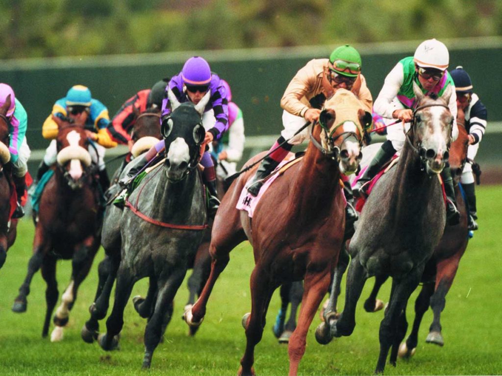 horse racing Del Mar, CA