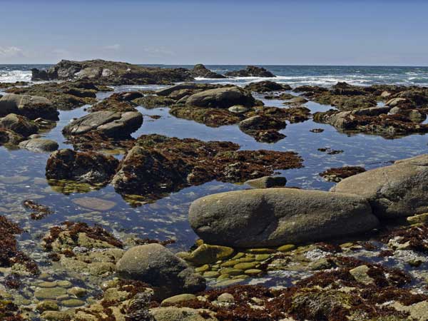 Tide Pool rocks and water