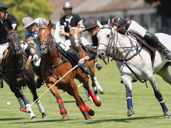 man on horses playing polo on grass