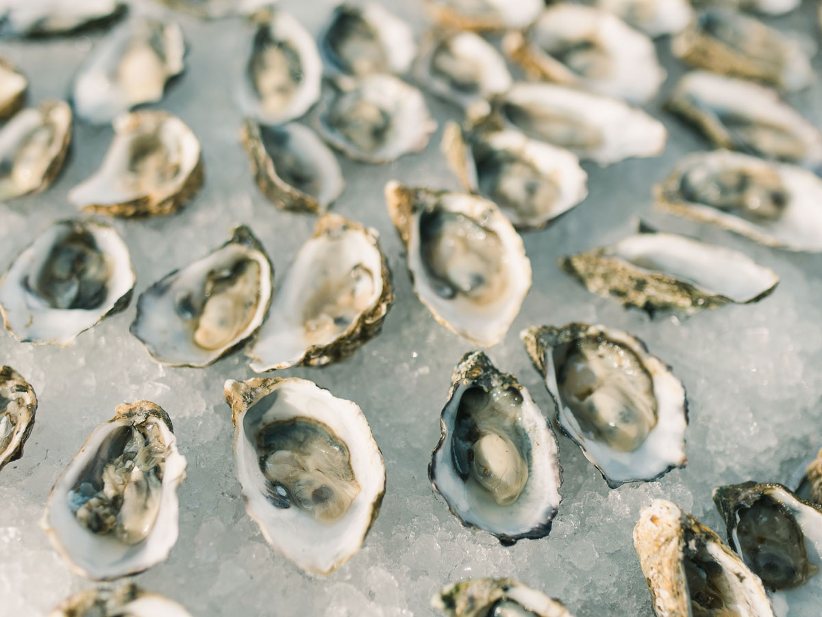 Chilled Oysters